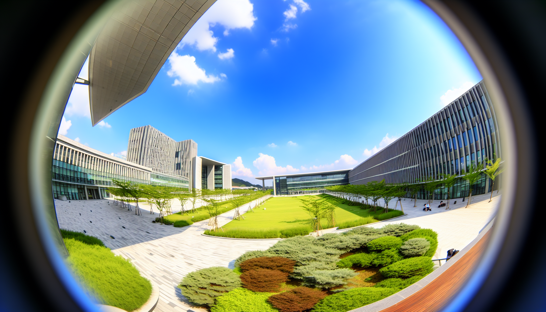 韓国の大学キャンパスの景色